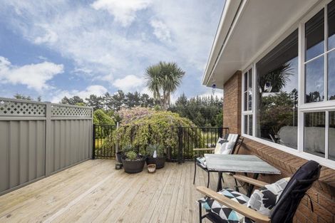 Photo of property in 301 Brighton Road, Waldronville, Dunedin, 9018