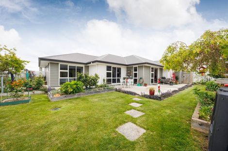 Photo of property in 10 Cherry Place, Feilding, 4702