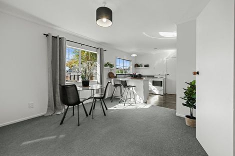 Photo of property in 10a Ihle Street, Terrace End, Palmerston North, 4410