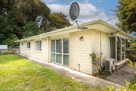 Photo of property in 99 Hamlet Street, Stratford, 4332