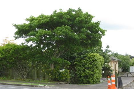Photo of property in 53 Nelson Street, Pukekohe, 2120
