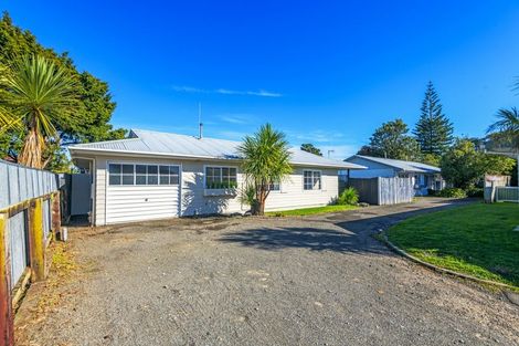 Photo of property in 10a Ihle Street, Terrace End, Palmerston North, 4410