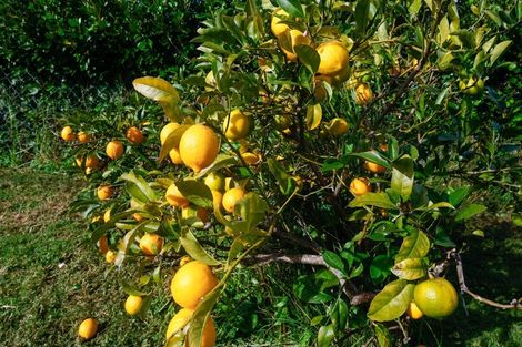 Photo of property in 114 Rosser Street, Huntly, 3700