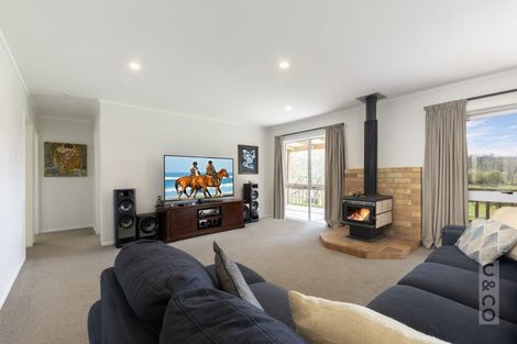 Photo of property in 293 Ararimu Valley Road, Helensville, Waimauku, 0882