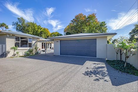 Photo of property in 66 Macarthur Street, Levin, 5510