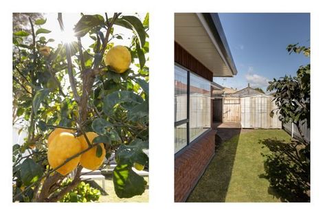 Photo of property in 15a Boronia Place, Mount Maunganui, 3116