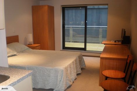 Photo of property in Dual Apartments, 108/142u Vivian Street, Te Aro, Wellington, 6011