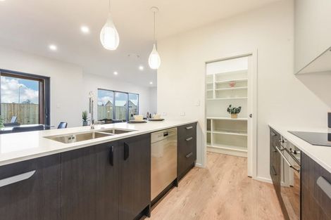 Photo of property in 26 Wakanini Place, Mapua, 7005