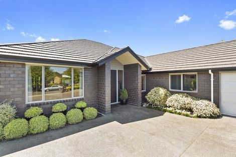 Photo of property in 4 Brad Avenue, Flagstaff, Hamilton, 3210