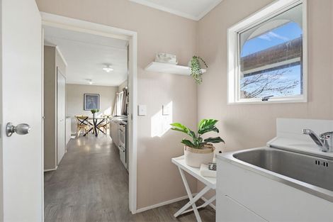 Photo of property in 47 Gemini Avenue, Milson, Palmerston North, 4414