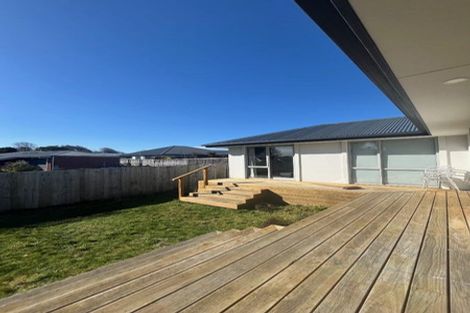Photo of property in 7b Burnbrae Street, Saint Martins, Christchurch, 8022