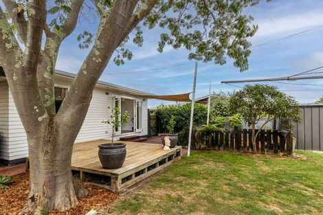 Photo of property in 303 Lumsden Road, Akina, Hastings, 4122