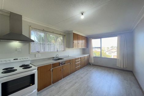 Photo of property in 110b Norfolk Street, Saint Clair, Dunedin, 9012