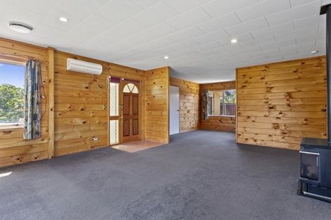 Photo of property in 41 Welsford Street, Woodend, 7610