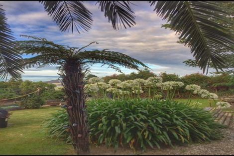 Photo of property in 172 Romilly Street, Westport, 7825