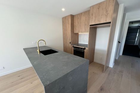 Photo of property in 19 Ryan Loop, Jacks Point, 9371