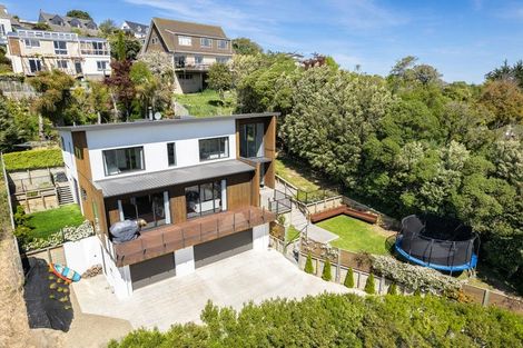 Photo of property in 3 Lauriston Street, Andersons Bay, Dunedin, 9013