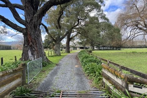 Photo of property in 166 Saint Kilda Road, Cambridge, 3493