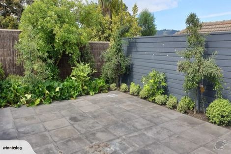 Photo of property in 7 Lothian Street, Maori Hill, Dunedin, 9010