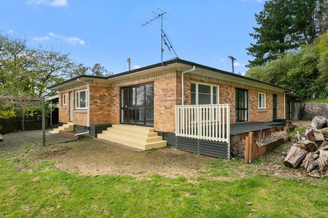 Photo of property in 2a Elizabeth Street, Te Kuiti, 3910