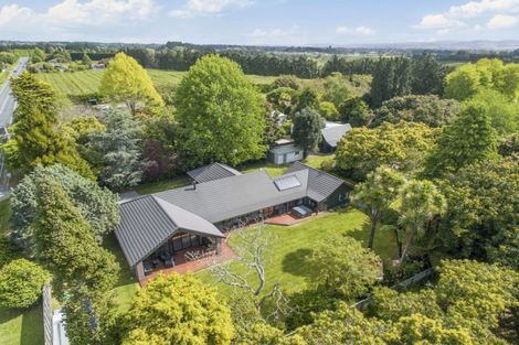 Photo of property in 330r Oropi Road, Oropi, Tauranga, 3173