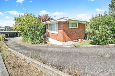 Photo of property in 102 Newcastle Road, Dinsdale, Hamilton, 3204