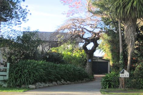 Photo of property in 1019 Duke Street, Mahora, Hastings, 4120