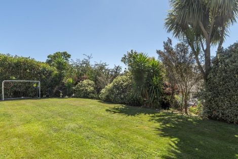 Photo of property in 23 Emmerdale Place, Ohauiti, Tauranga, 3112