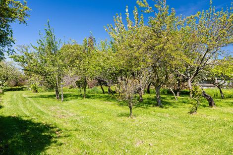 Photo of property in 93a Harley Street, Solway, Masterton, 5810