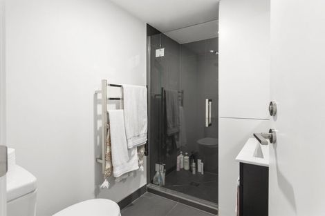 Photo of property in Alpha Apartments, 501/4u Elizabeth Street, Mount Victoria, Wellington, 6011