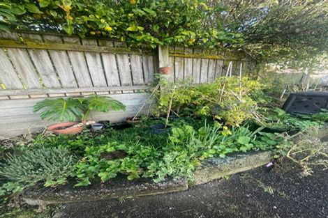 Photo of property in 23 Nairn Street, Mount Cook, Wellington, 6011