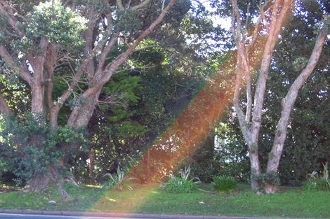 Photo of property in 297 Hibiscus Coast Highway, Orewa, 0931