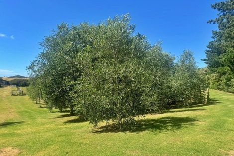 Photo of property in 83 Mcmanus Road, Houhora, Pukenui, 0484