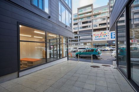 Photo of property in Vsp Nothern Tower, 166c1 Victoria Street, Te Aro, Wellington, 6011