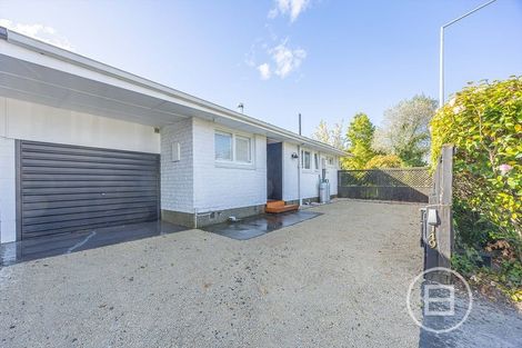 Photo of property in 149 Saint Albans Street, St Albans, Christchurch, 8014