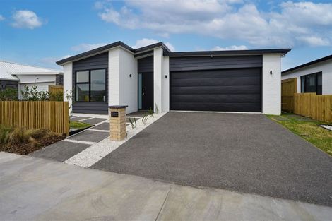 Photo of property in 20 Ogilvie Avenue, Chartwell, Hamilton, 3210