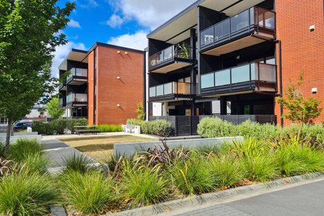 Photo of property in 216u9 Tristram Street, Hamilton Central, Hamilton, 3204