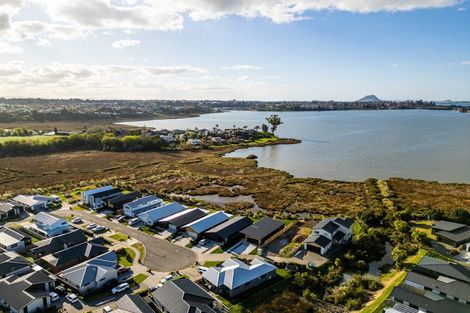 Photo of property in 43 Hinaki Street, Poike, Tauranga, 3112
