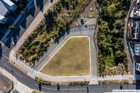 Photo of property in 87 Joshua Carder Drive, Hobsonville, Auckland, 0616