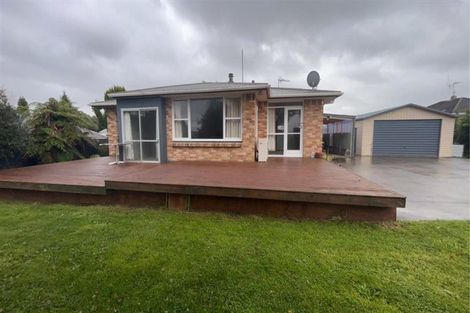 Photo of property in 133 Tirau Street, Putaruru, 3411
