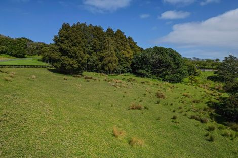 Photo of property in 38 Kaipara View Road, Helensville, 0875