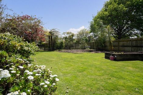 Photo of property in 75 Princes Street, Cambridge, 3434