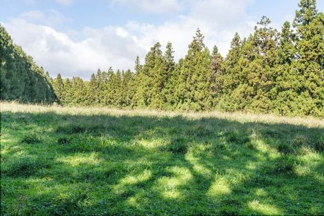 Photo of property in 486 Esdaile Road, Whakamarama, Tauranga, 3180