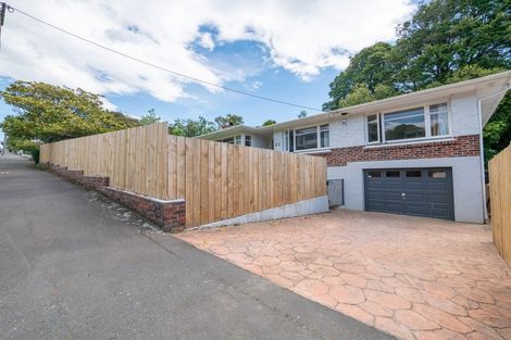 Photo of property in 24 Hawthorn Avenue, Mornington, Dunedin, 9011