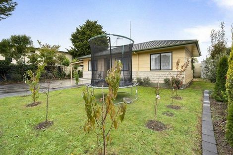 Photo of property in 26a Limbrick Street, Terrace End, Palmerston North, 4410