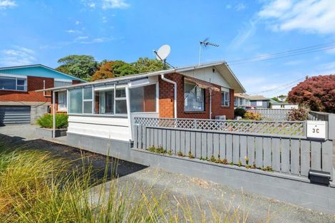 Photo of property in 3c Bideford Street, Brooklands, New Plymouth, 4310