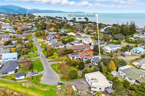 Photo of property in 141 Matatua Road, Raumati Beach, Paraparaumu, 5032