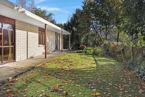 Photo of property in 115 State Highway 2, Katikati, 3170