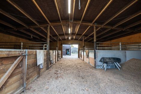 Photo of property in 81 Racecourse Road, Cambridge, 3493