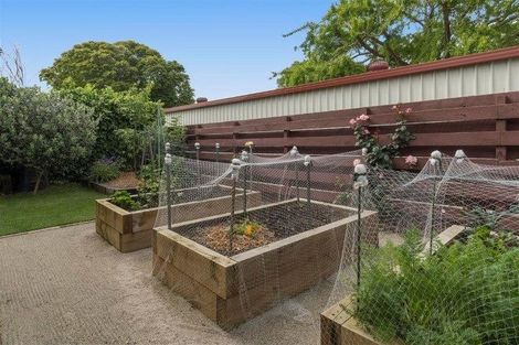 Photo of property in 50a Myres Street, Otumoetai, Tauranga, 3110